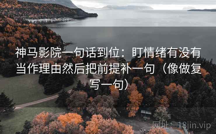 神马影院一句话到位：盯情绪有没有当作理由然后把前提补一句（像做复写一句）